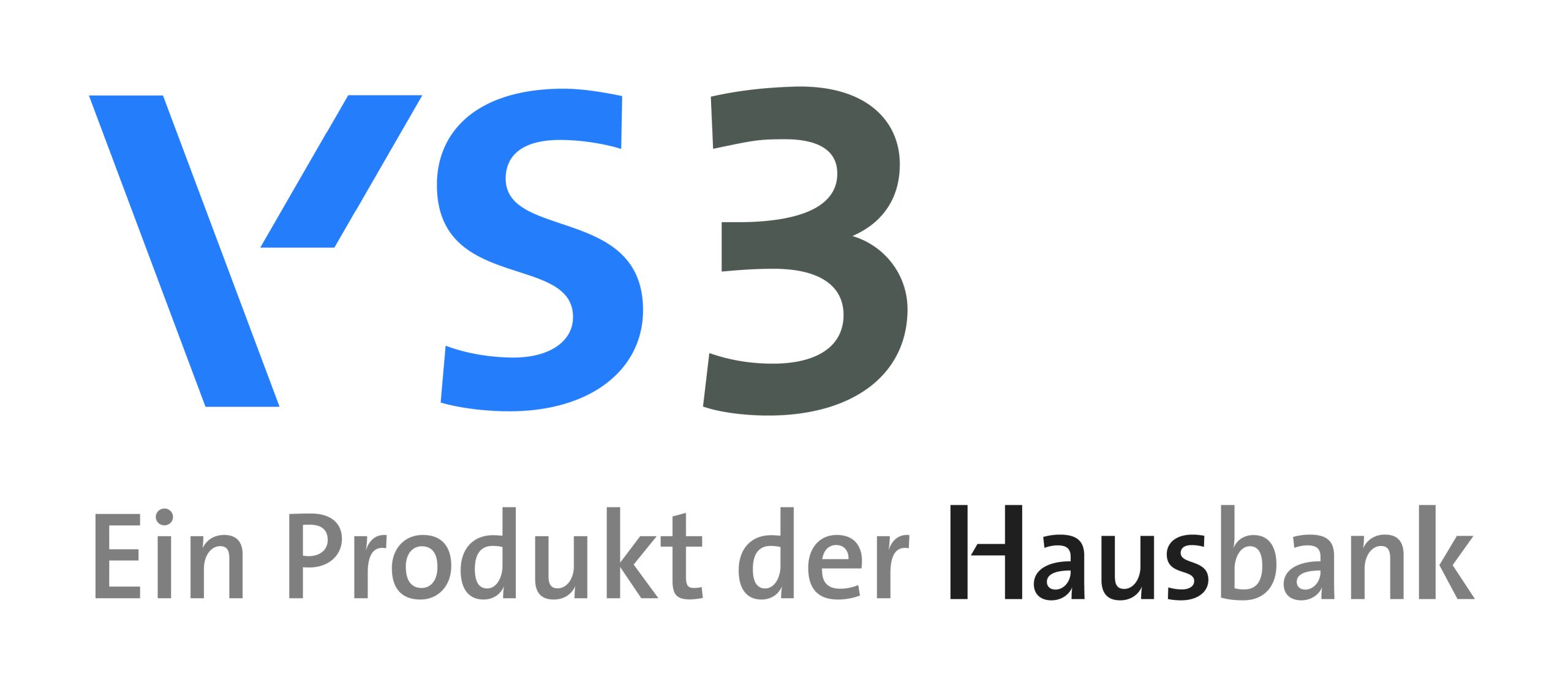 VS3 Logo